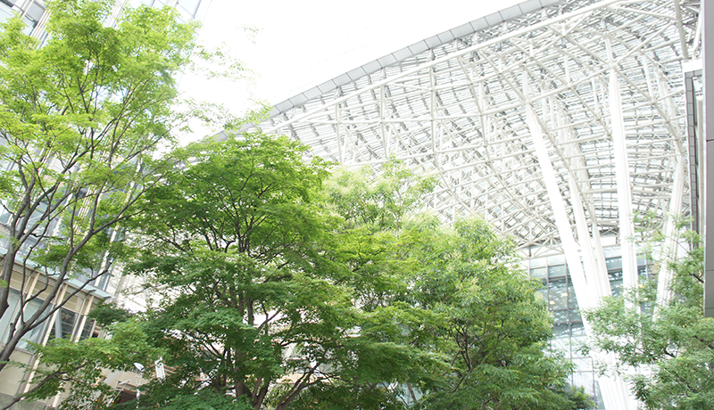 全球彩网页版登录 所属チームASモナコはロドリゲスの身代金を8000万ユーロ（約1100億ウォン）に策定した